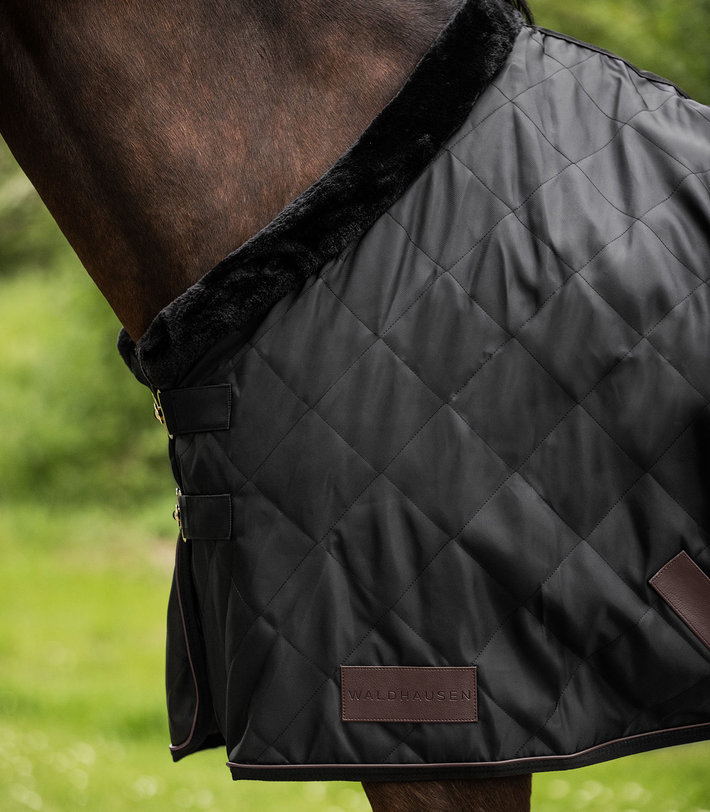 Waldhausen Exclusive Travel Rug black - 2