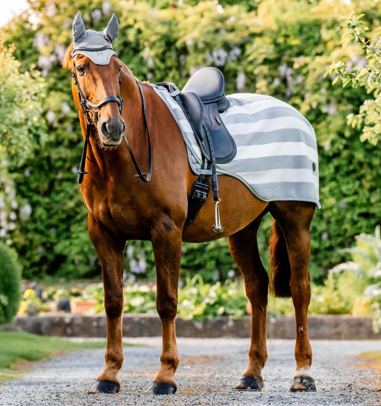 Horseware Newmarket Harjoitusloimi Witney Charcoal