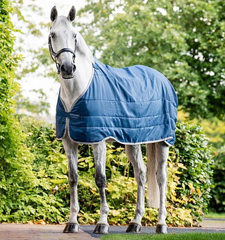 Horseware Ionic Therapy Liner 50g Imperial Blue/Silver & Navy