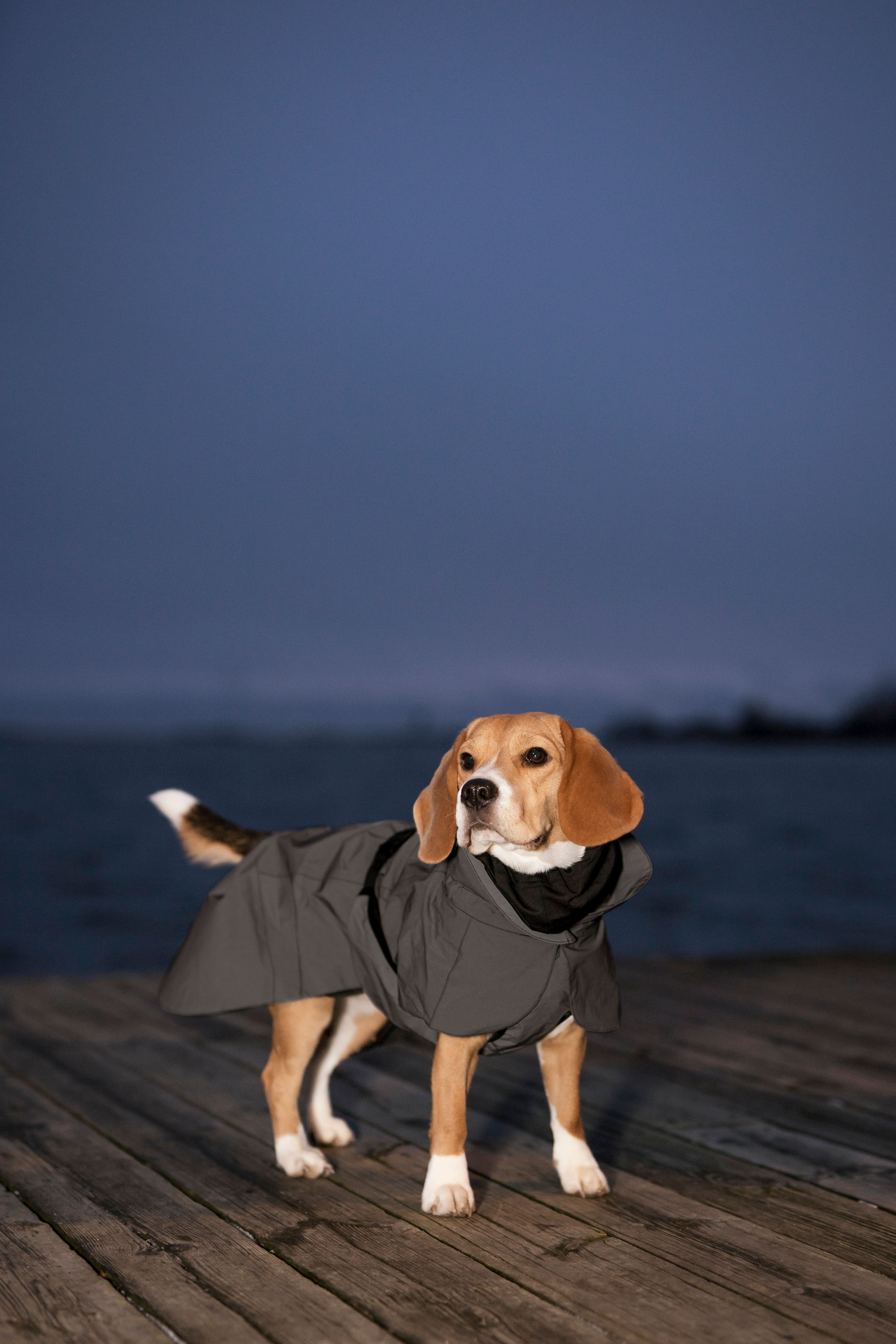 PAIKKA Visibility Raincoat - Dark gray