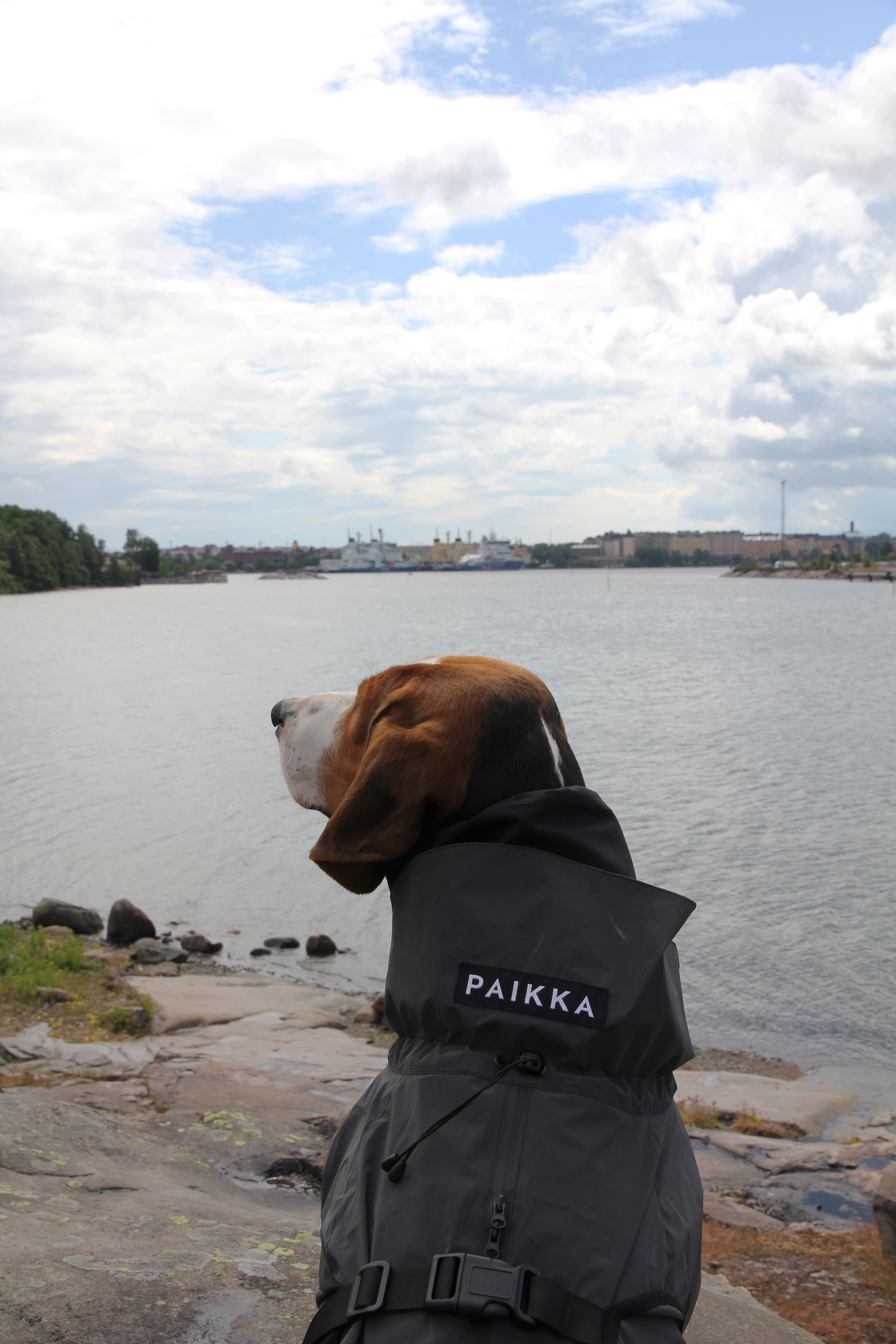 PAIKKA Visibility Raincoat - Dark gray