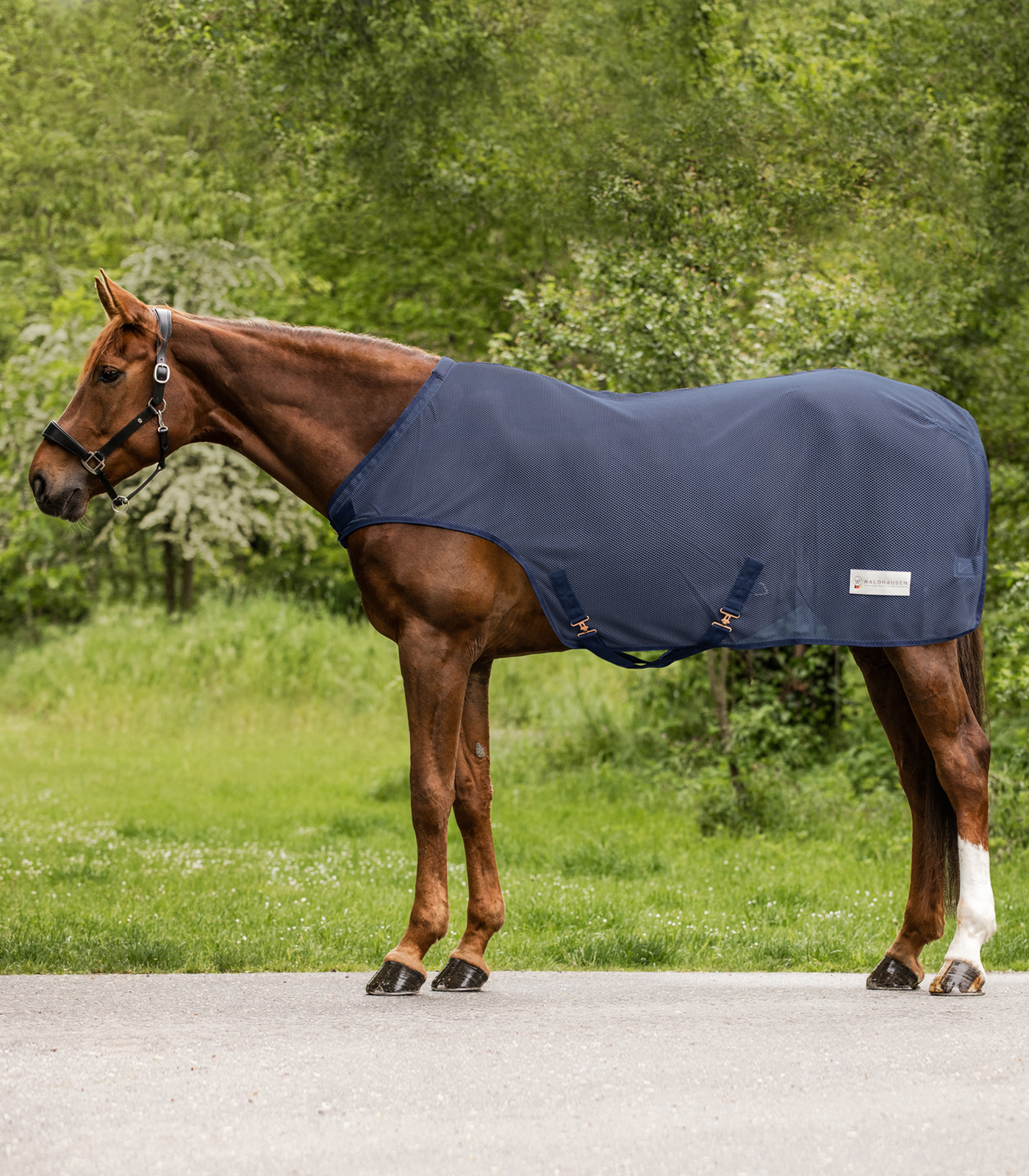 Waldhausen COMFORT Fly-Horse Walker Rug midnight blue (125)