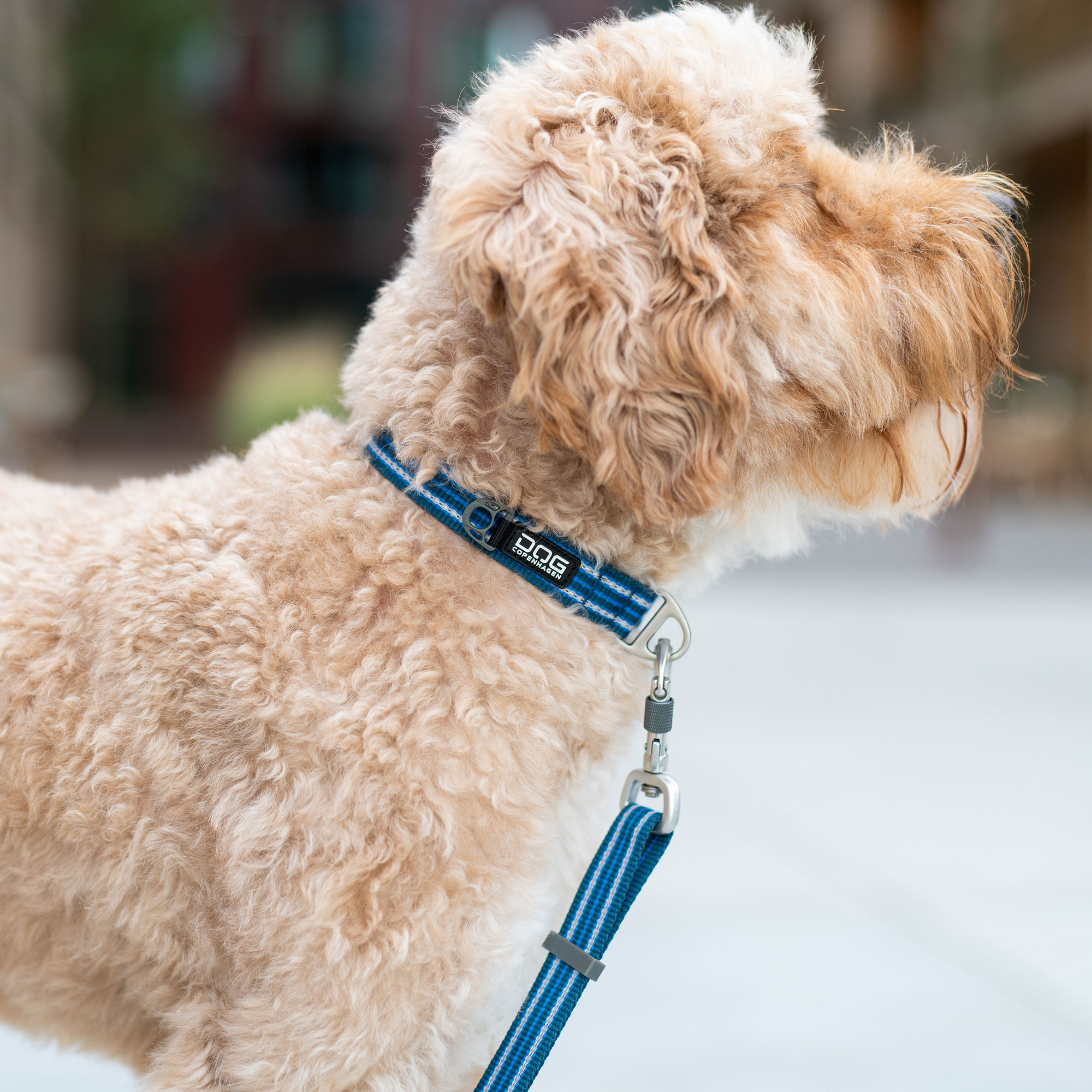 Dog Copenhagen Urban Style Halsband - Classic Red 