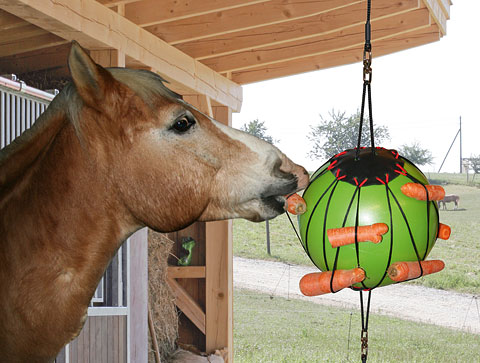 Kerbl Therapiespielball - Pferd - 3