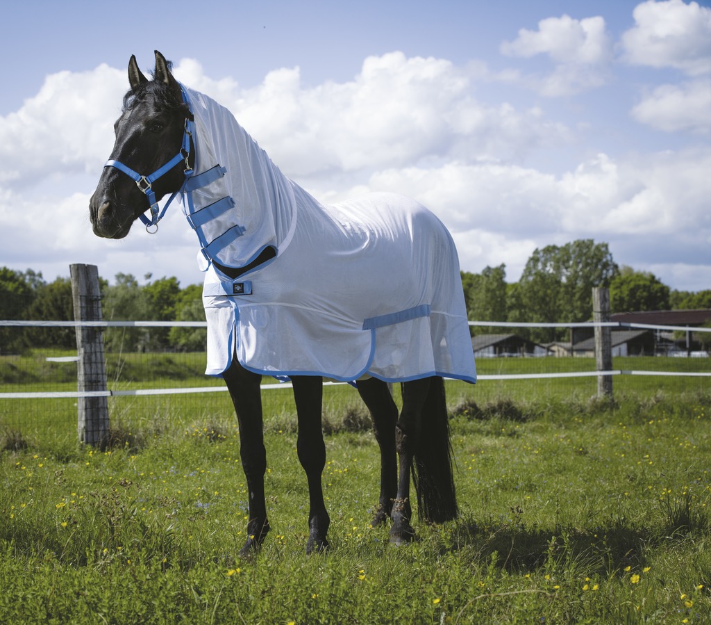 RIDING WORLD Combo Mesh Sheet White/Light Blue (4'6 - 90 cm)