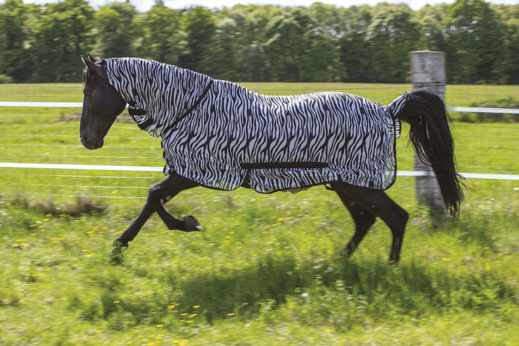 RIDING WORLD Combo Meshtäcke Vit/Svart Zebra - 2