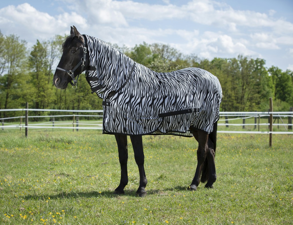 RIDING WORLD Combo Mesh Sheet Zebra Pattern White/Black (4'9 - 95 cm)