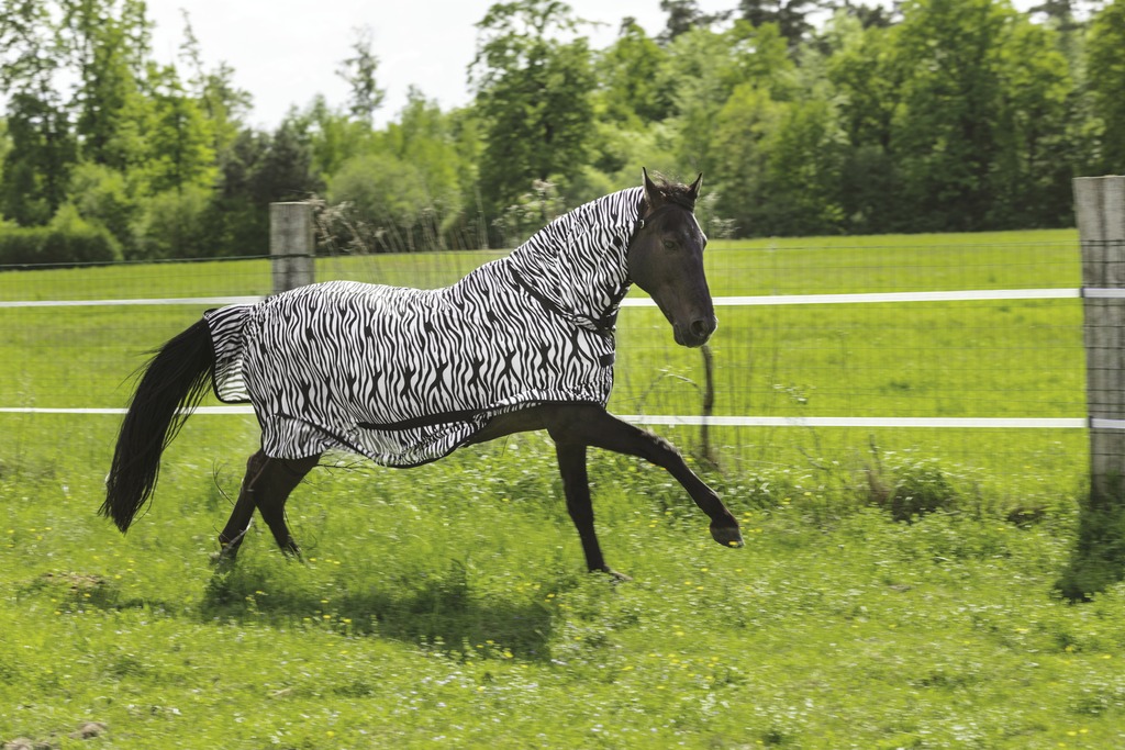 RIDING WORLD Combo Meshtäcke Vit/Svart Zebra - 3