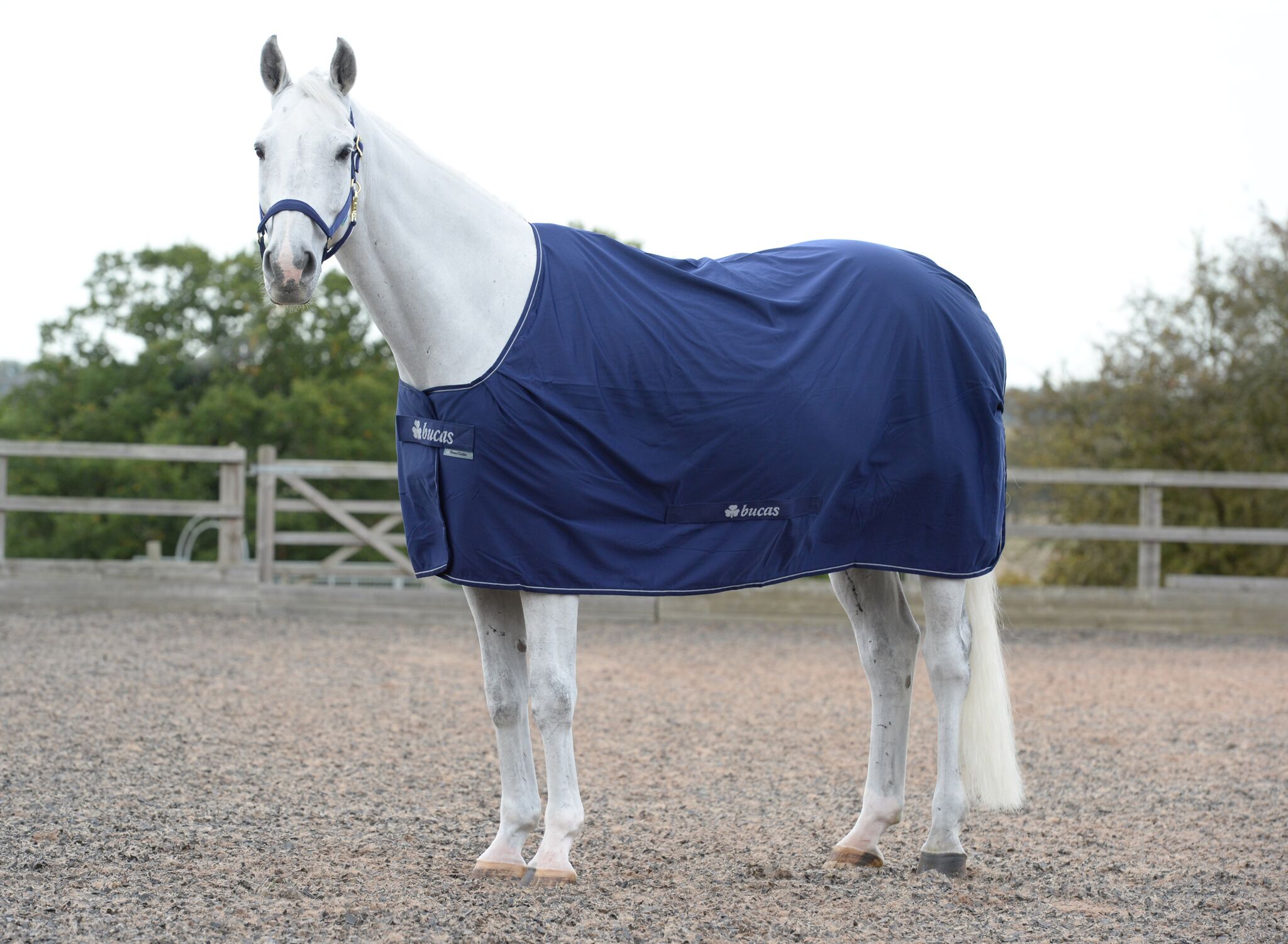 Bucas Power Cooler Functional Rug Navy/Silver - transportblanket