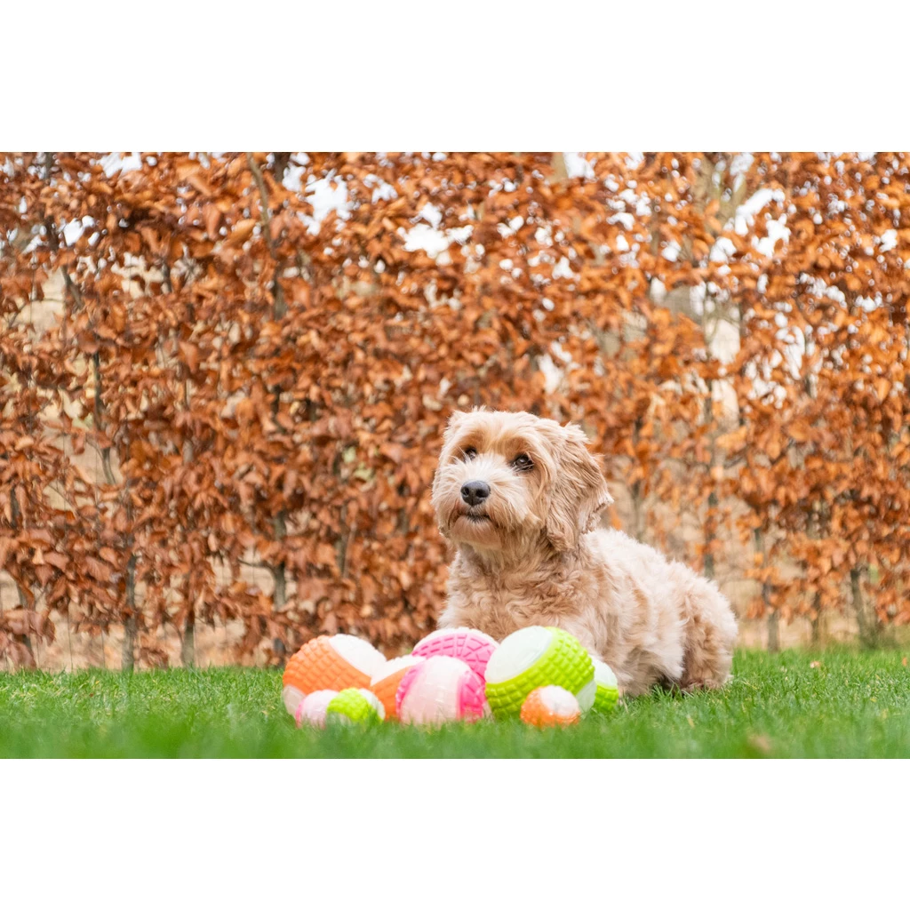 Dog Comets Glow In The Dark Moon Dog Toy - Green - Floats