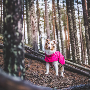Rukka Hase Regnjacka för hund - Hot Pink , 45 - endast detta ex