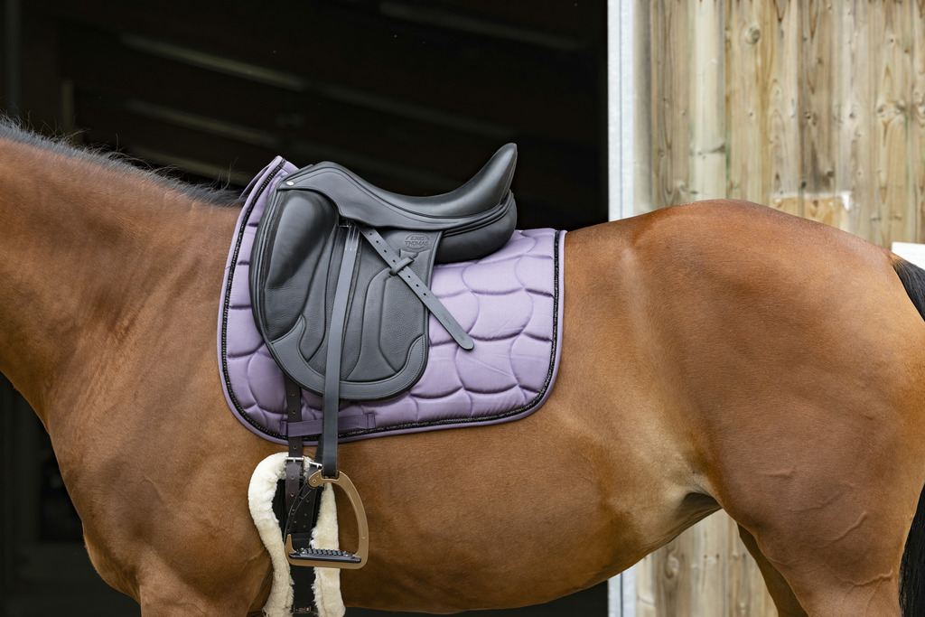 EQUITHEME 'Satin' Schabrak Plum - 2