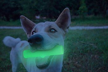 2GLOW-noutolelu – rapiseva ja pimeässä hohtava