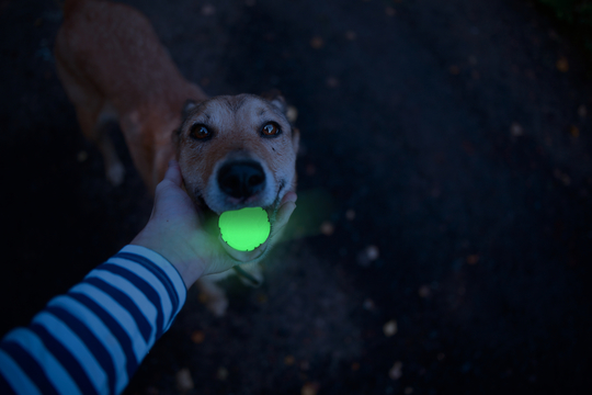 2GLOW- Apport stick- Cracking and luminous - 4