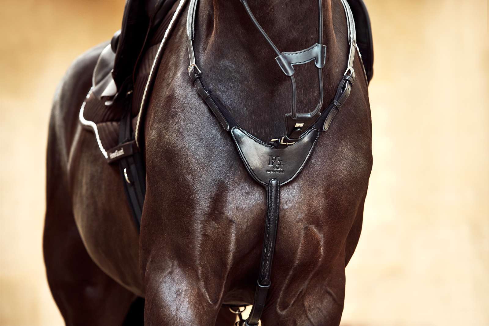 Joustava martingaali Horse Guard – Musta/hopea - 2