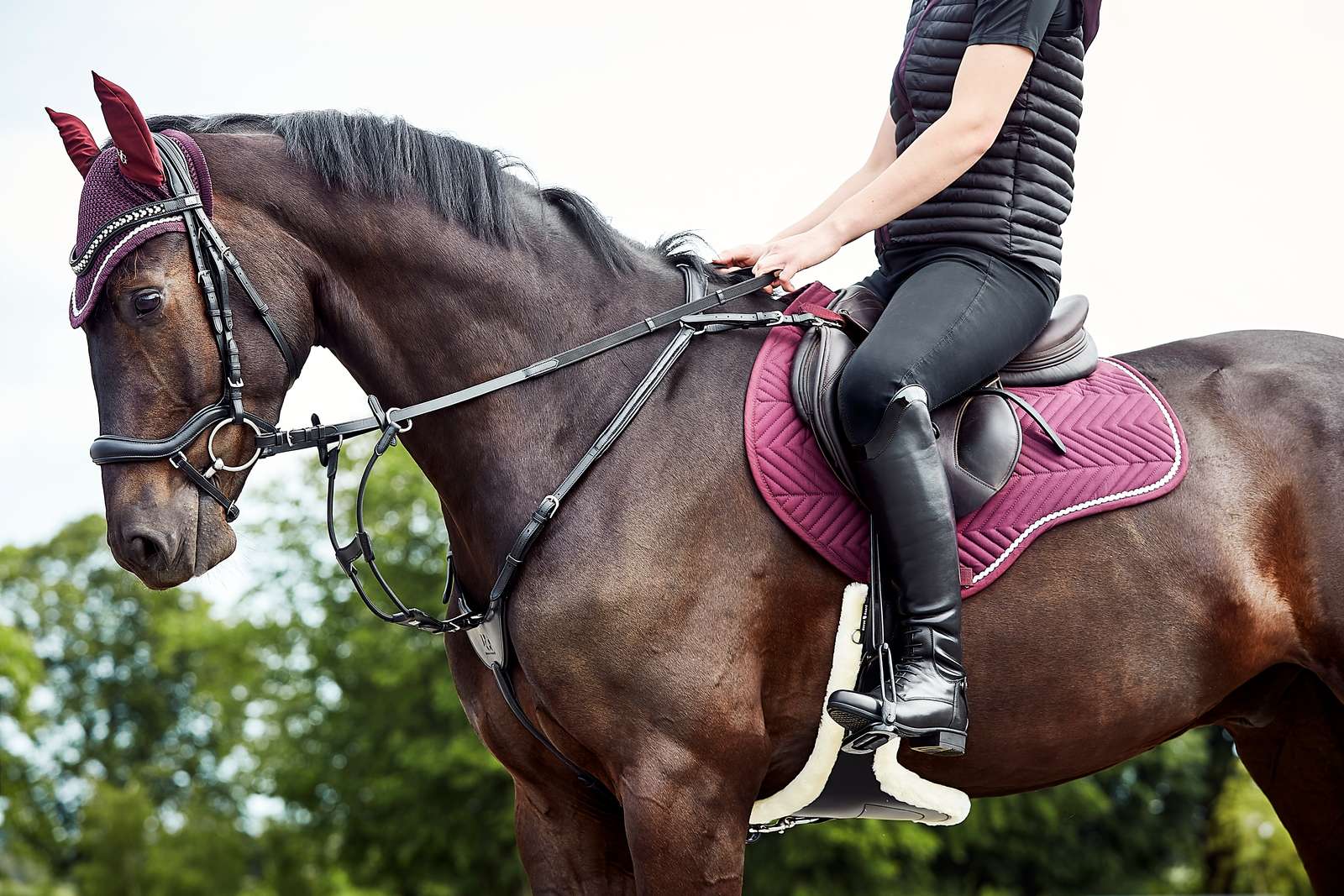 Joustava martingaali Horse Guard – Musta/hopea - 3