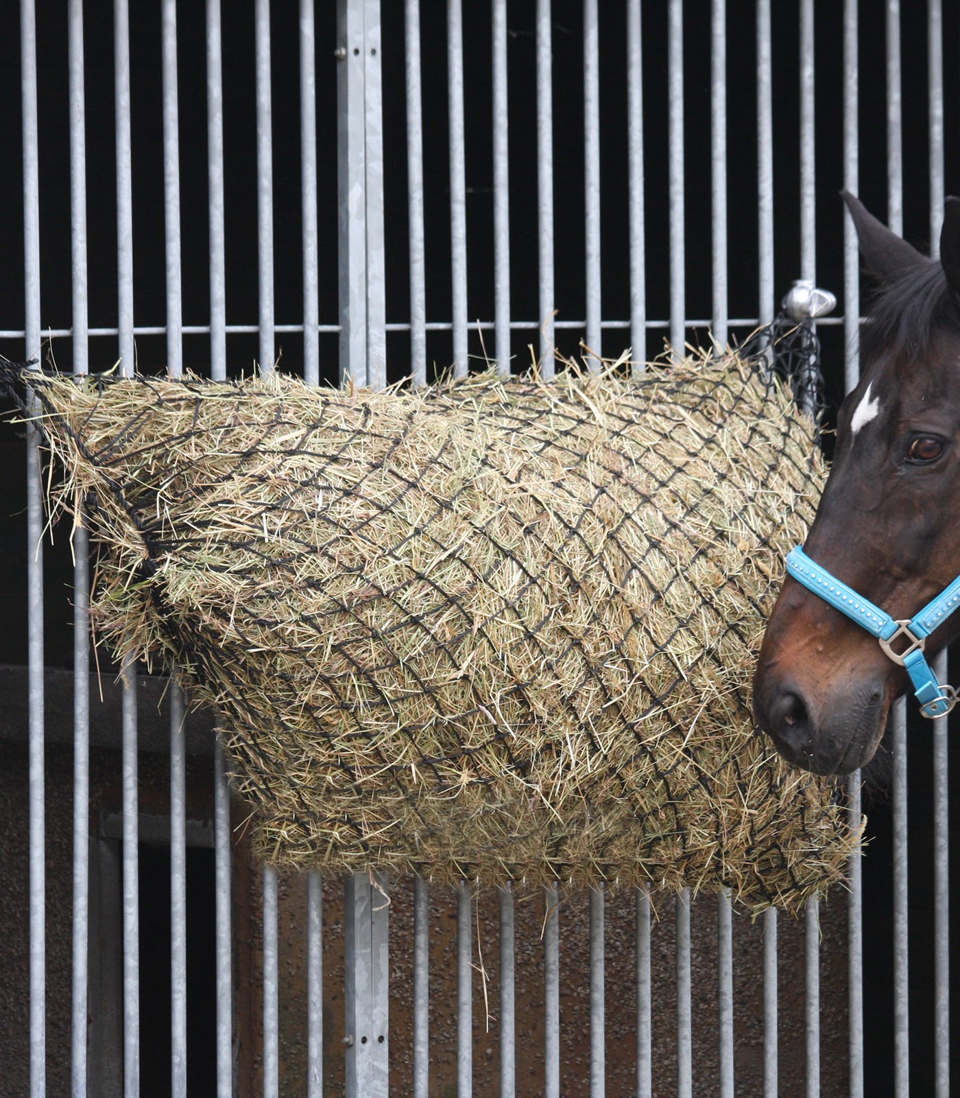 Waldhausen Large Hay Net - Black - 3