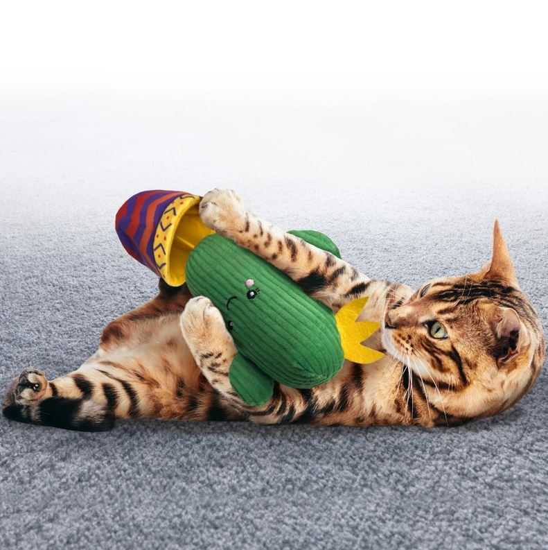 Kong Cat Toy Wrangler Cactus - Treat Hider