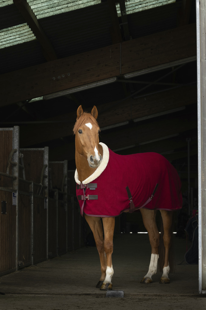 EQUITHEME 'Teddy' Polar Fleece Stalltäcke Burgundy/Ecru (5'9 - 125 cm)