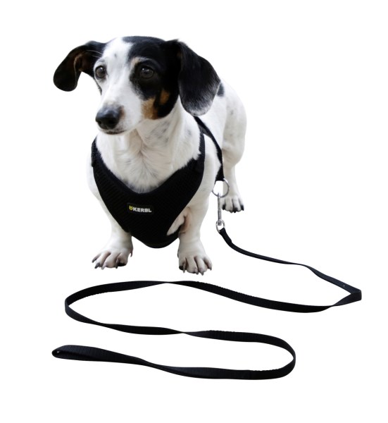 Kerbl Black soft puppy harness and pair - 2 sizes, S - 3