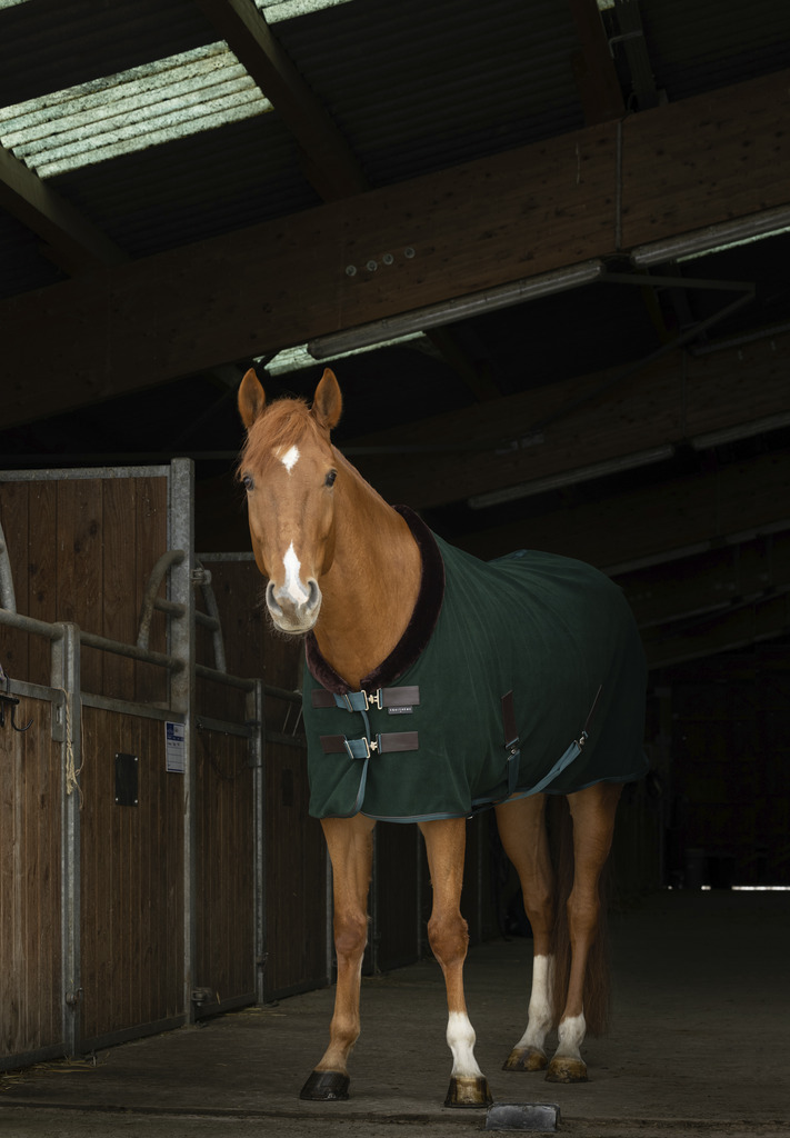 EQUITHEME 'Teddy' Polar Fleece Stalltäcke Grön/Brun (5'9 - 125 cm)