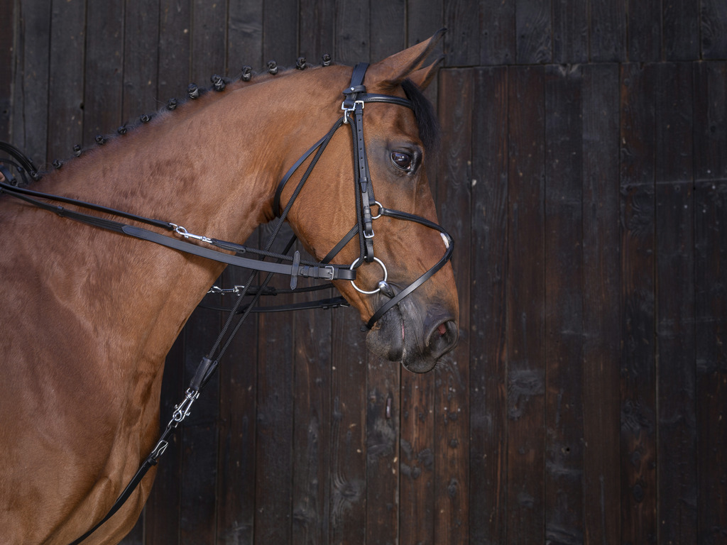 RIDING WORLD Leather Gogue Reins Black - Full size - 2