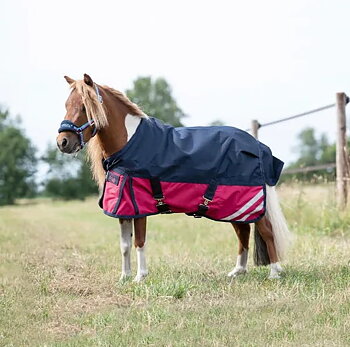 HKM Turnout Rug Mini 600D - Cranberry