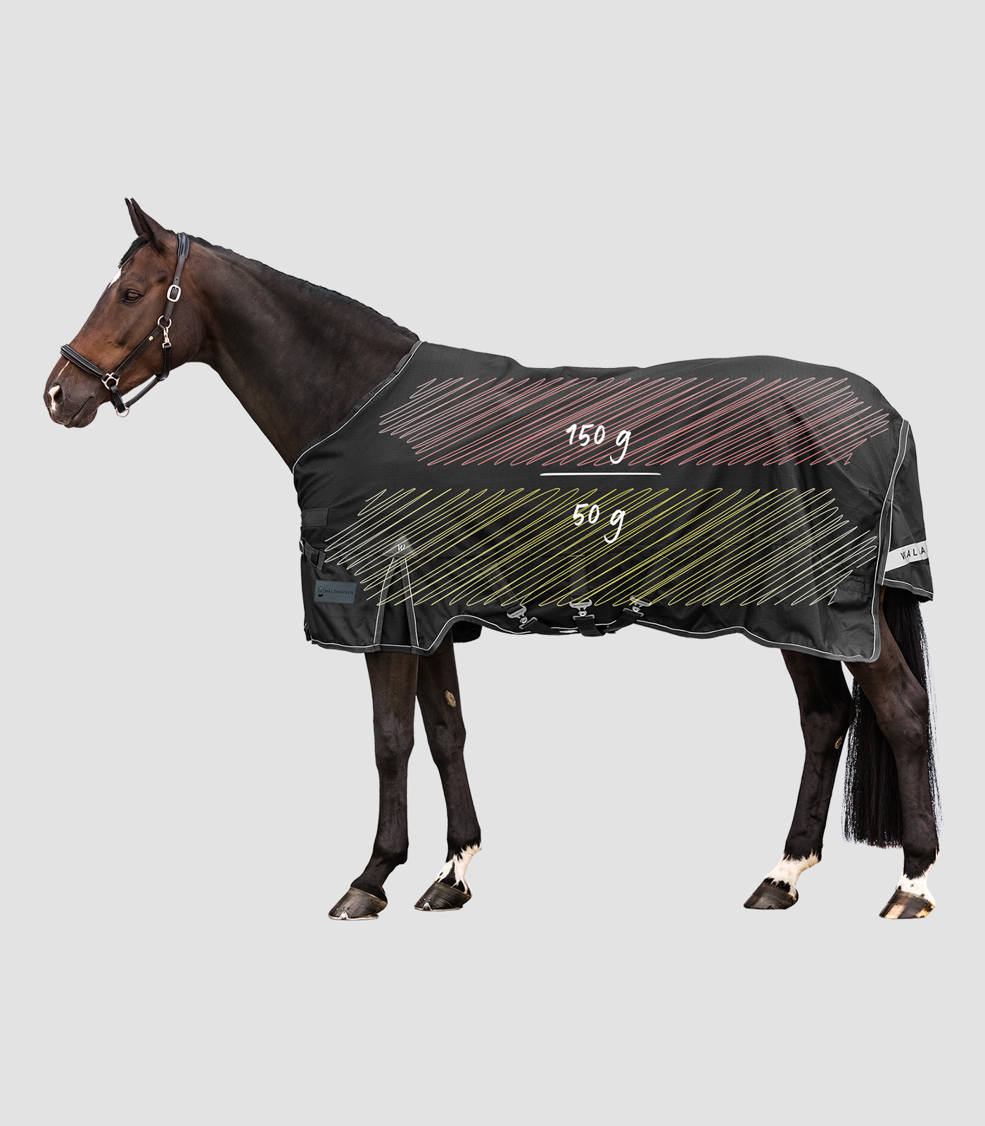 SCANDIC Multi-Layer Turnout Rug 50g/150g - Black