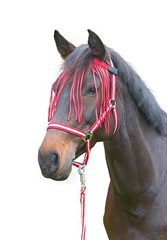Kerbl Kärpäsotsapanta - Sininen tai Punainen , Punainen