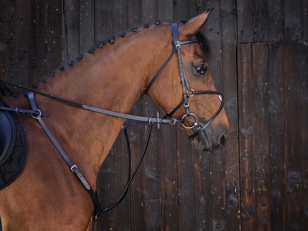RIDING WORLD Juokseva Martingaali Musta - 2