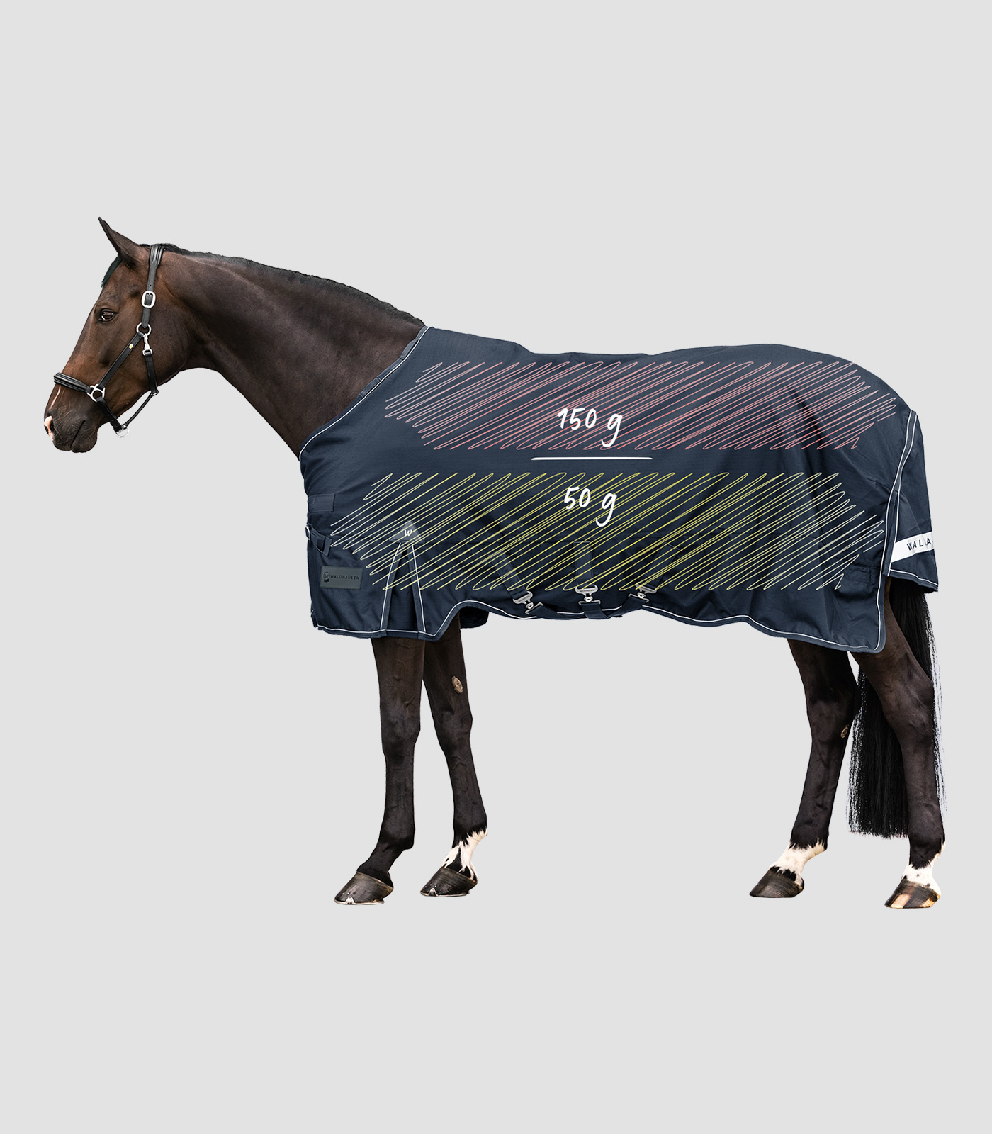 SCANDIC Multi-Layer Turnout Rug 50g/150g - Night blue