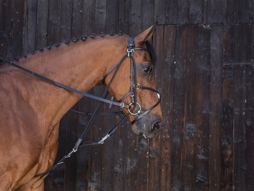 RIDING WORLD Gogue mit Umlenkrollen Black