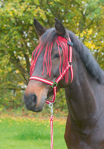 Kerbl Fly Headband - Blue or Red, Red - 3