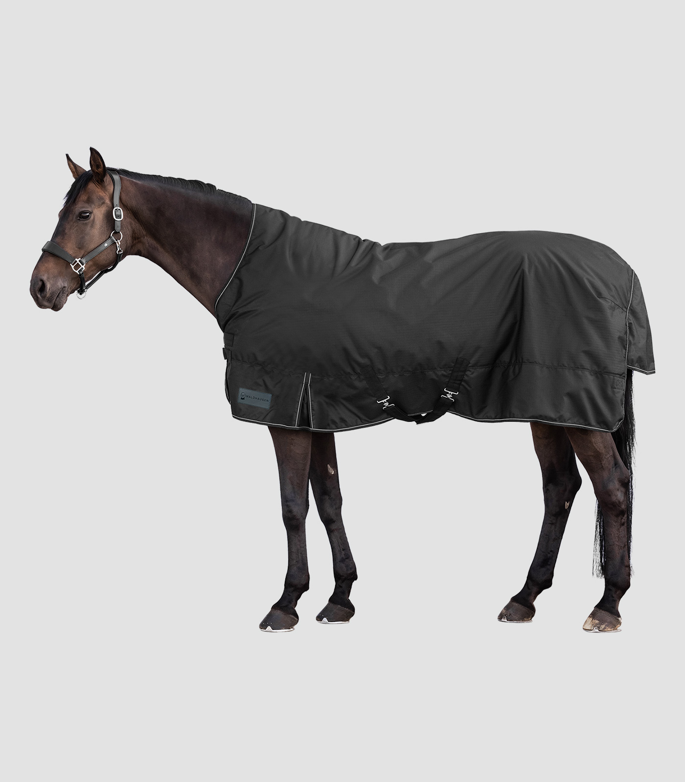 NORDIC High Neck Turnout Rug 100 g - Black