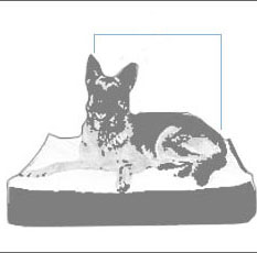 Bia Bed Square - Black - 4