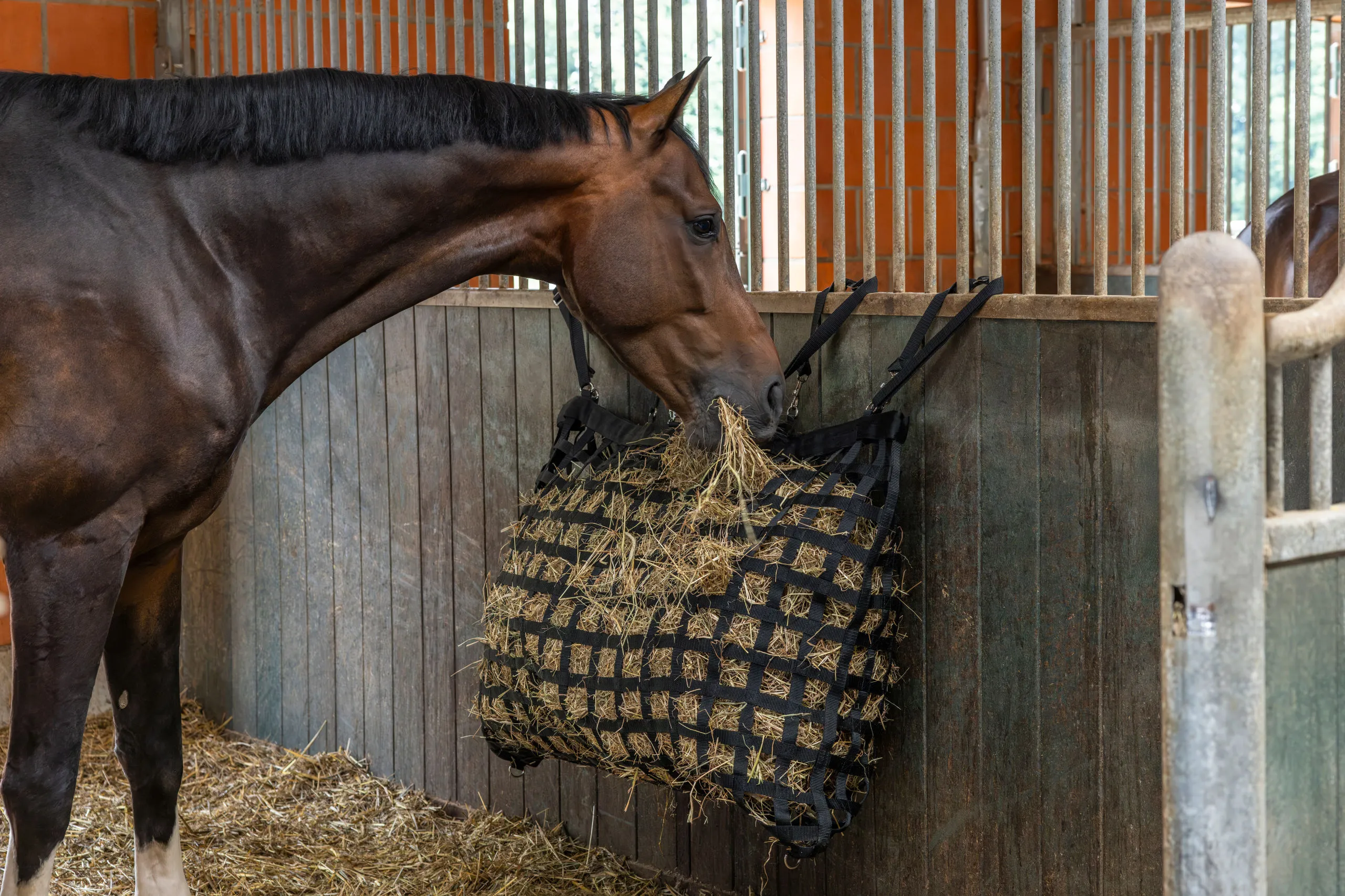 Hönät / Hay Bag för häst – Slow feeder, slitstark och spillsmart, 2 - 3
