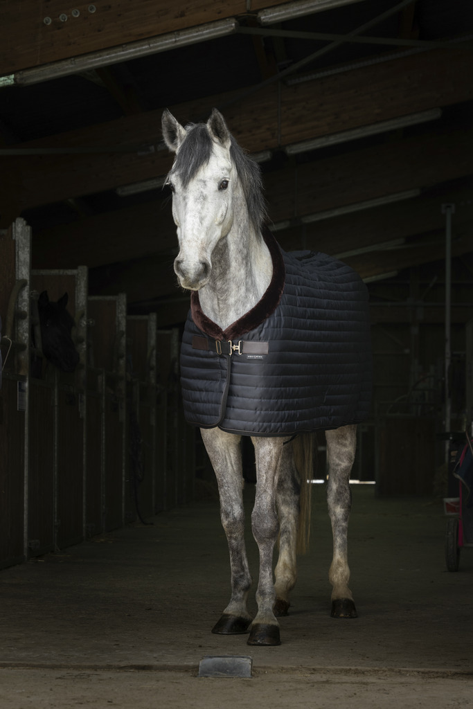 EQUITHEME 'Teddy' Stable Rug, Synthetic Sheepskin Lined Black/Brown - 3