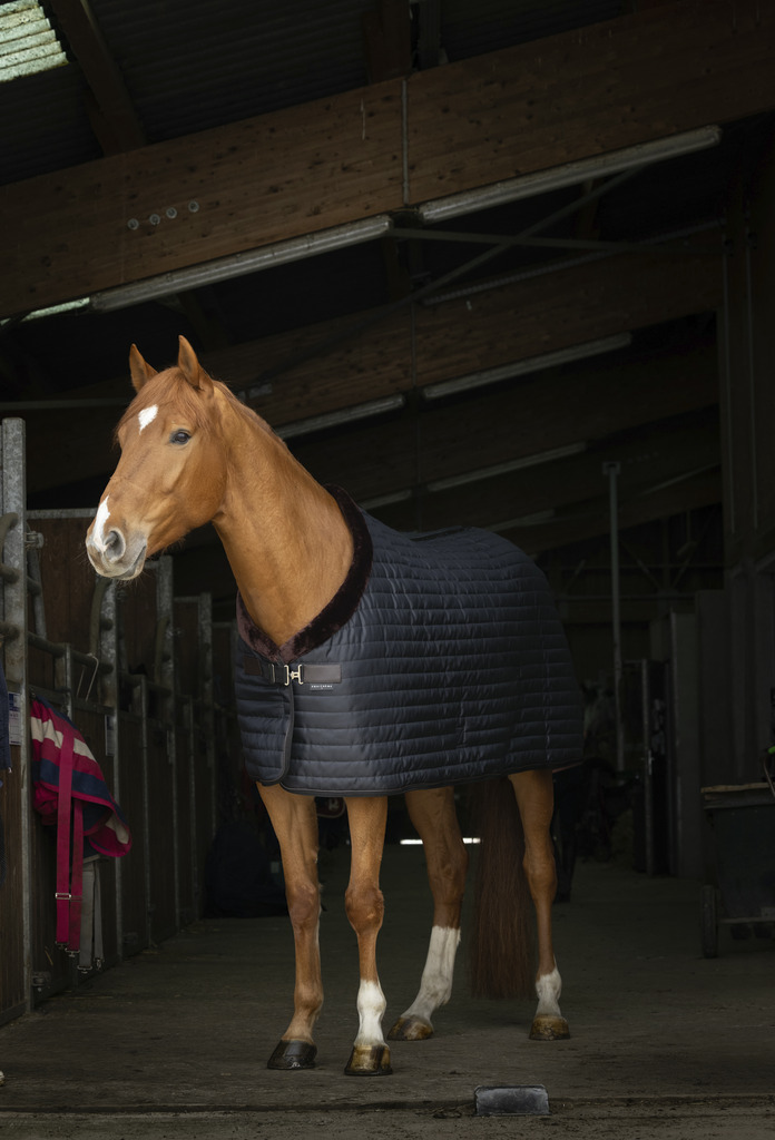 EQUITHEME 'Teddy' Stable Rug, Synthetic Sheepskin Lined Black/Brown - 2