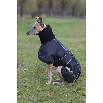 Back on Track Whippet ‑takki koiralle