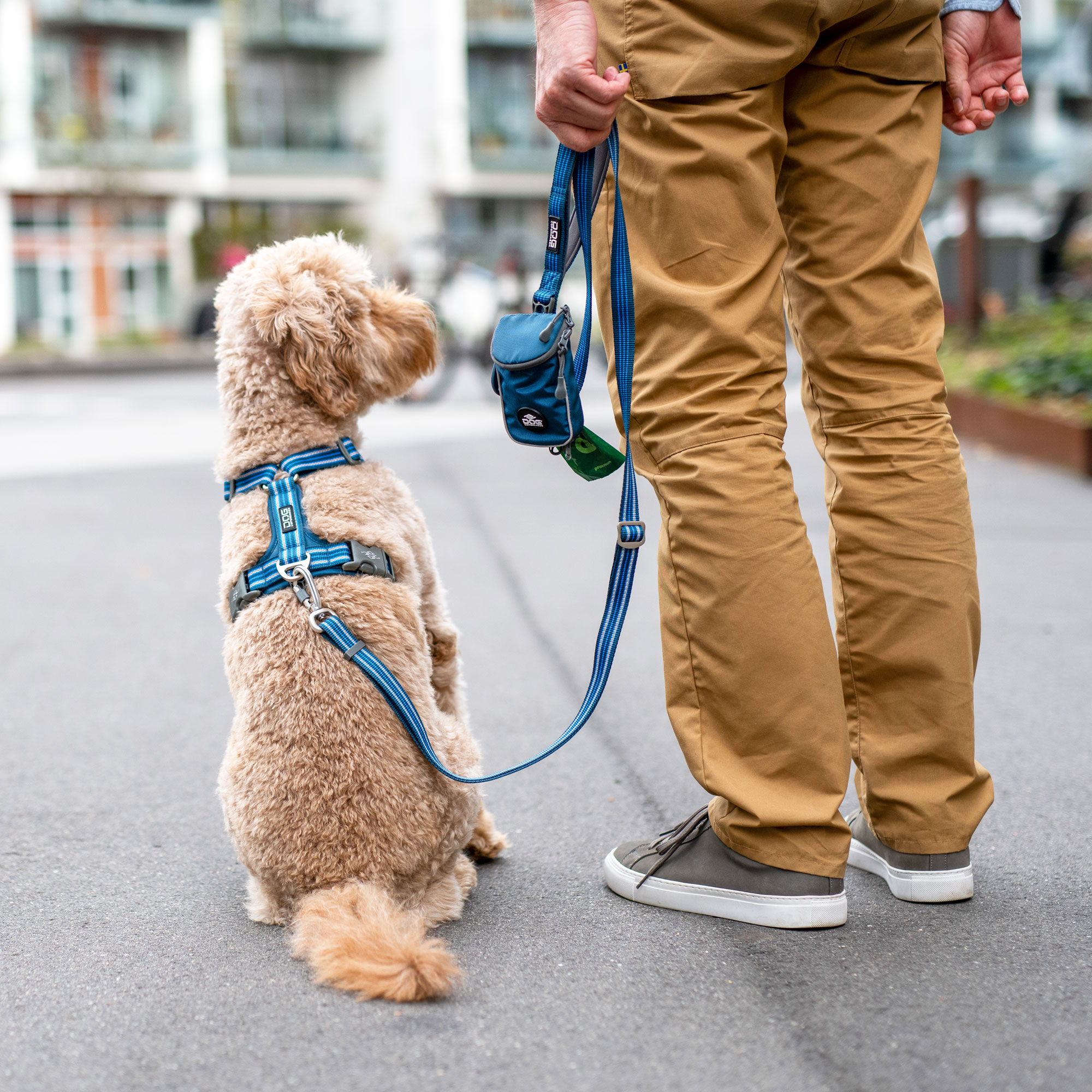 Dog Copenhagen Urban Freestyle Leash - Ocean Blue 
