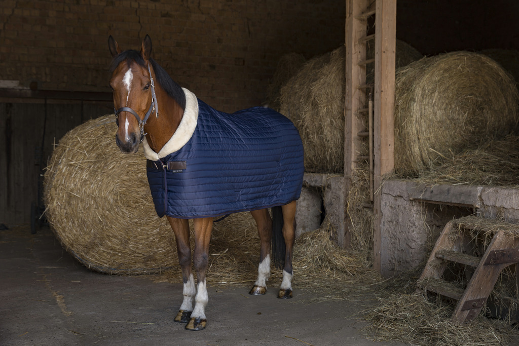 EQUITHEME 'Teddy' Talliloimi Synteettisellä Lampaantaljalla Navy/Ecru - 2