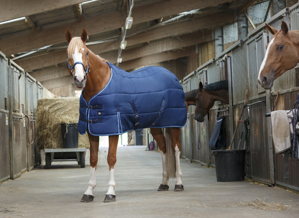 RIDING WORLD Talliloimi Navy/Sky Blue