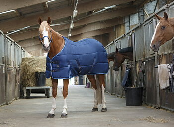 RIDING WORLD Talliloimi Navy/Sky Blue