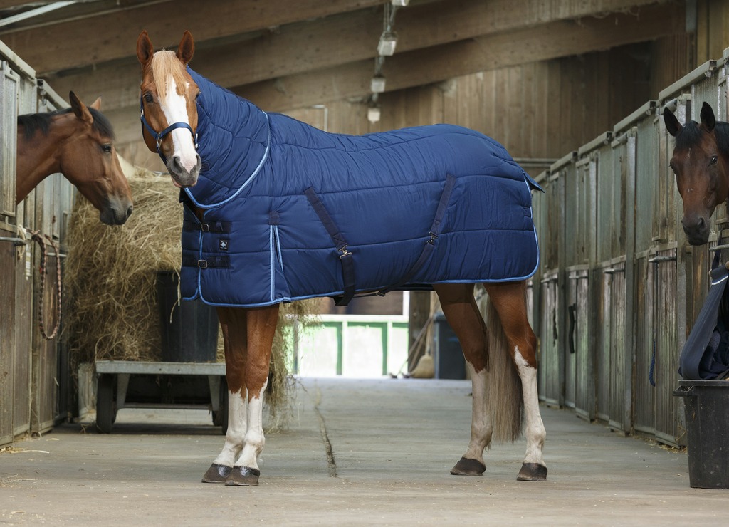 RIDING WORLD 'Combo' Talliloimi Navy/Sky Blue