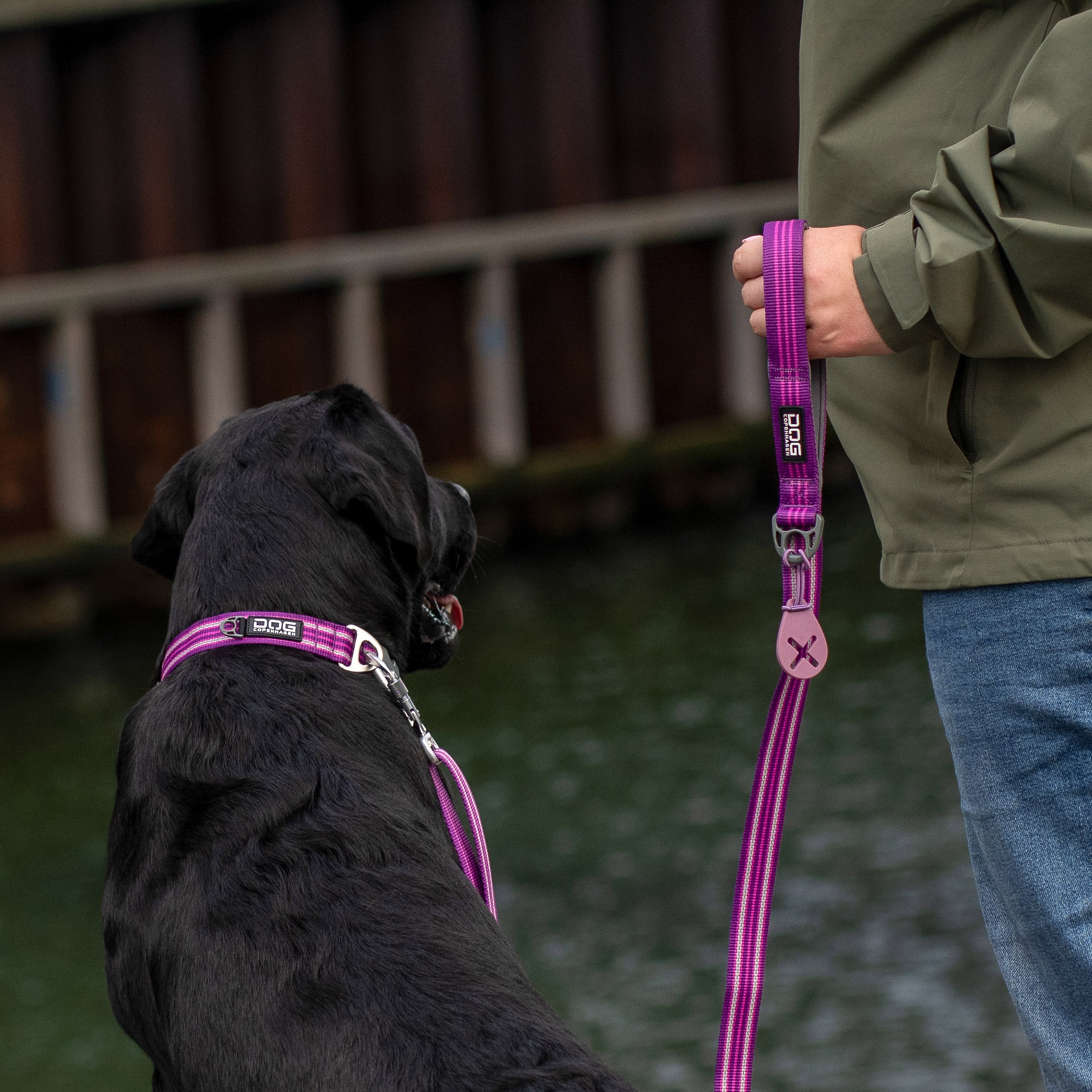 Dog Copenhagen Urban Freestyle Leash - Purple Passion 