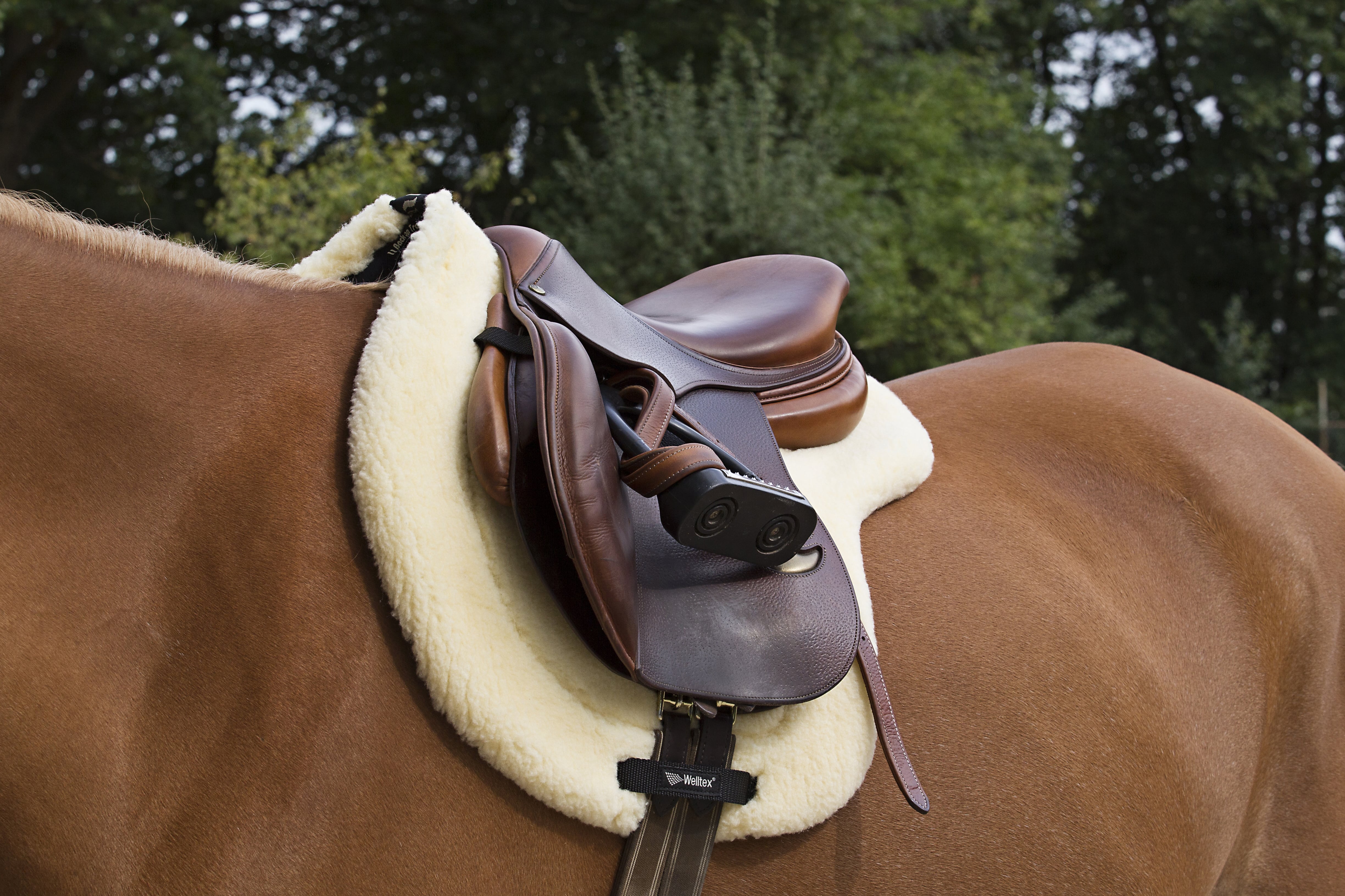 Back on Track Vojlock Teddy - Beige