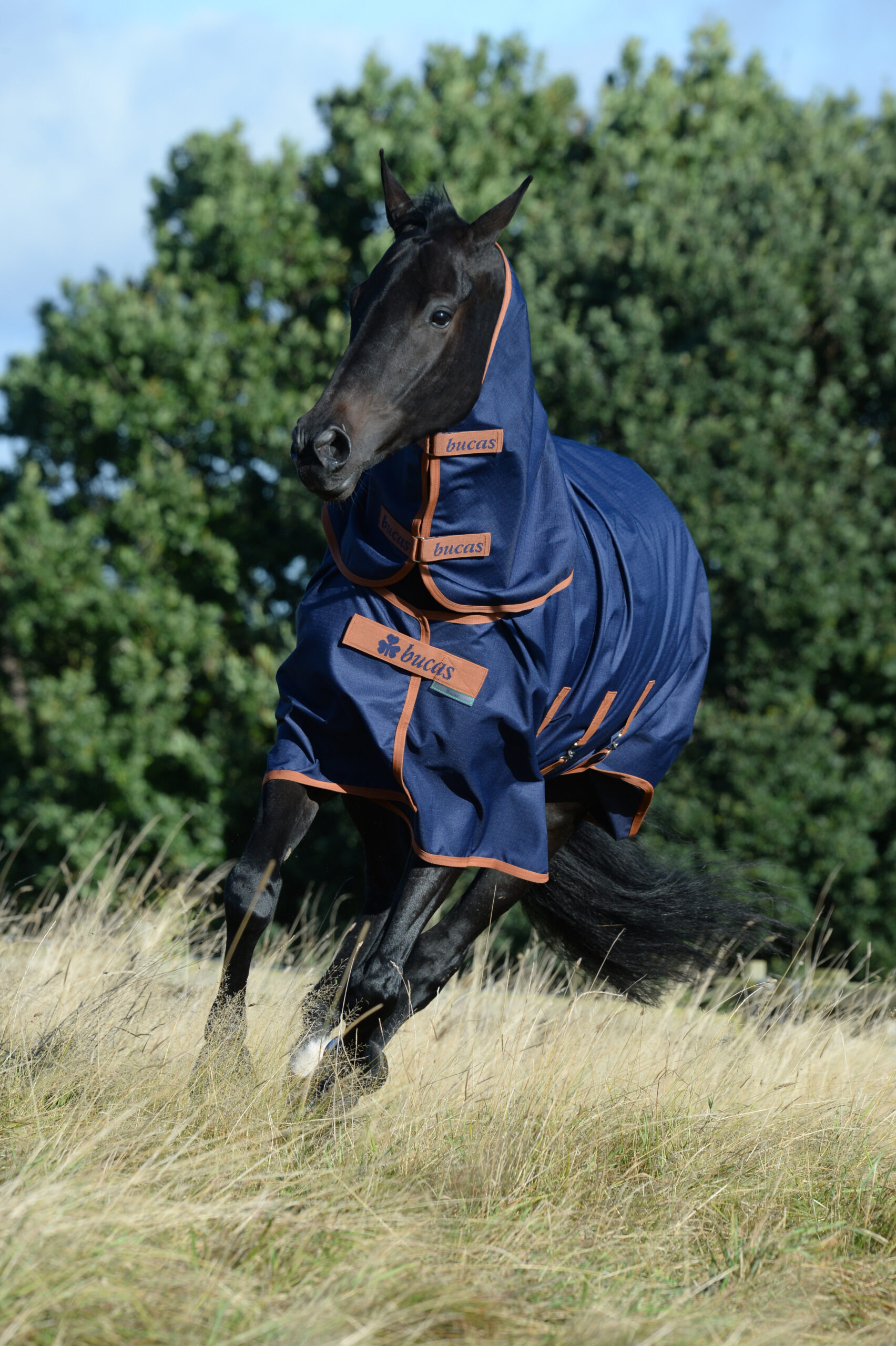 Bucas X-Range Combi Neck - Smart