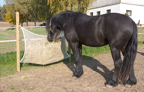 Kerbl Hay net  - Various sizes, 160 x 100 cm