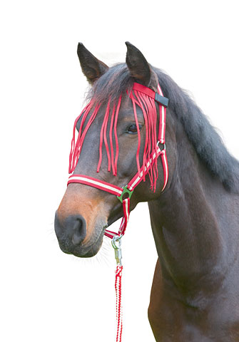 Kerbl Fly Headband - Blue or Red, Blue - Silver