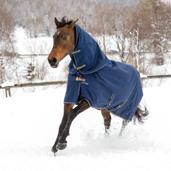 Bucas Irish Combi Neck - Kaulakappale - Laivastonsininen/Kulta, L - 5